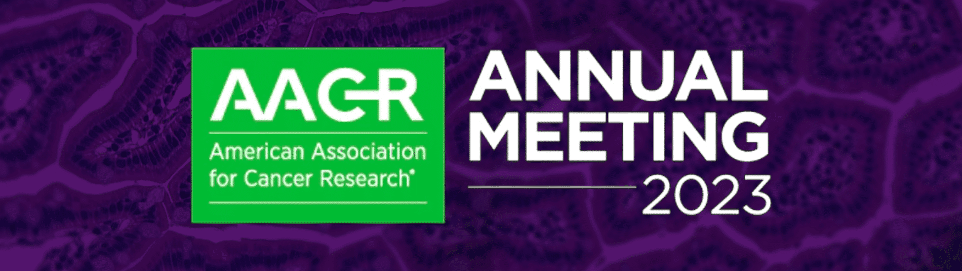cancer research annual report 2023