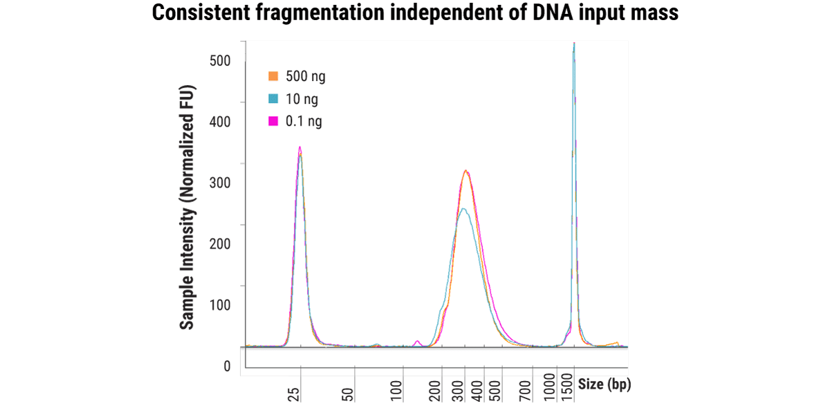 图 3. 在 5,000 倍的 DNA 起始量范围内保持一致的片段化性能。将 500、10 和 0.1 ng 人类基因组 DNA 在 20°C 下片段化 30 分钟,一式两份构建文库。采用 TapeStation(Agilent)D1000 检测评估最终文库片段分布。