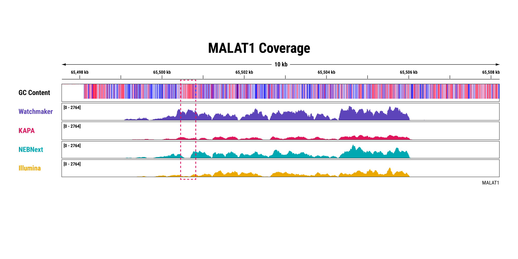 ‭‬图 5B. 提高效率并表征 lncRNA。Watchmaker 解决方案还提高了整个 MALAT1 的覆盖范围，尤其是以红色标出的富含 GC 的区域。文库是用 10 ng 完整的全血衍生 RNA 制备的。