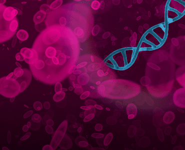 Watchmaker 酶法片段化 DNA 文库制备试剂盒